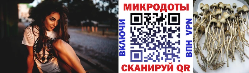 Псилоцибиновые грибы ЛСД Славск